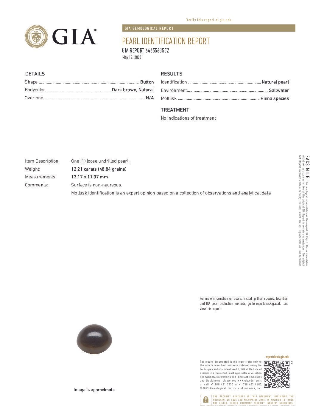 Natural Pinna Pearl 12.21 ct (13.31 ratti) - Image 3