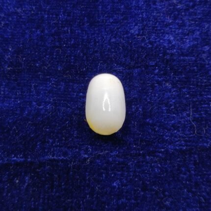 Natural Clam Pearl  7.15 ct (7.80 Ratti)