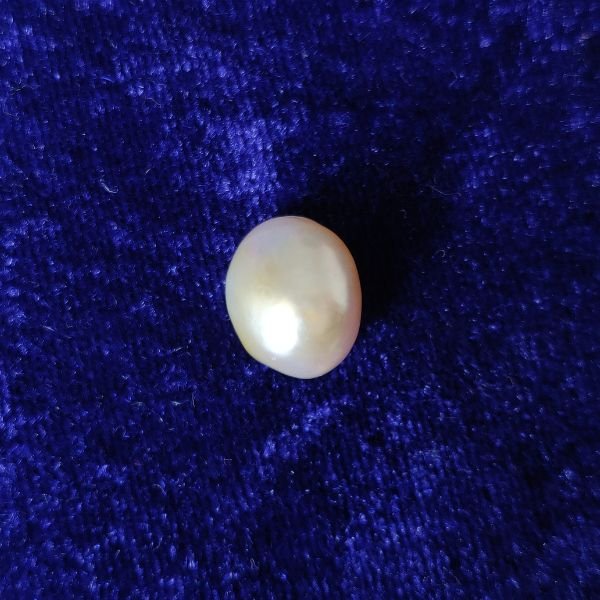 Natural Keshi Pearl 8.80 ct (9.60 ratti)