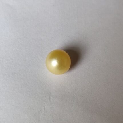 Golden South Sea Pearl  5.50 ct  (6.0 ratti)