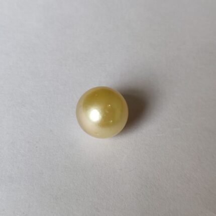 Golden South Sea Pearl  9.0 ct  (9.81 ratti)