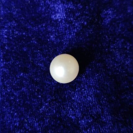 South Sea Pearl 7.90 ct (8.61 ratti)