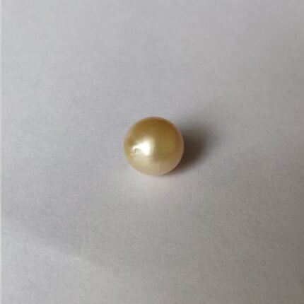 Golden South Sea Pearl 5.0 ct (5.45 ratti)