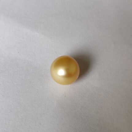 Golden South Sea Pearl  7.05 ct  (7.68 Ratti)