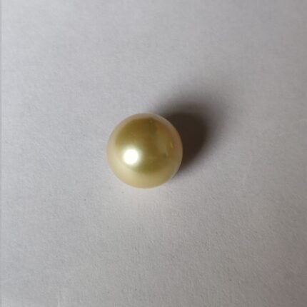 Golden South Sea Pearl  9.50 ct  (10.36 ratti)
