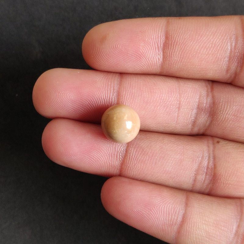 Natural Cassis Pearl 11.80 ct ( 12.86 ratti) - Image 2