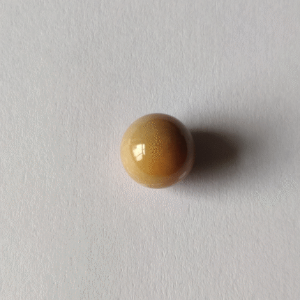 Natural Cassis Pearl 11.80 ct ( 12.86 ratti)