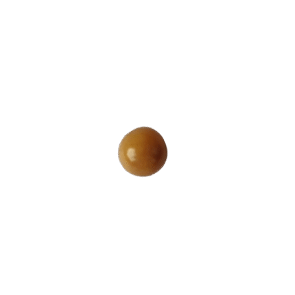 Natural Cassis Pearl 2.65 ct (2.90 ratti)
