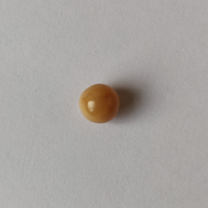 Natural Cassis Pearl 4.30 ct (4.70 ratti)