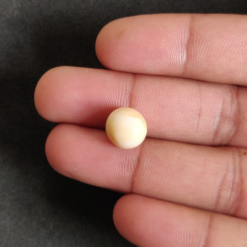 Natural Cassis Pearl 9.0 ct (9.81 ratti) - Image 3