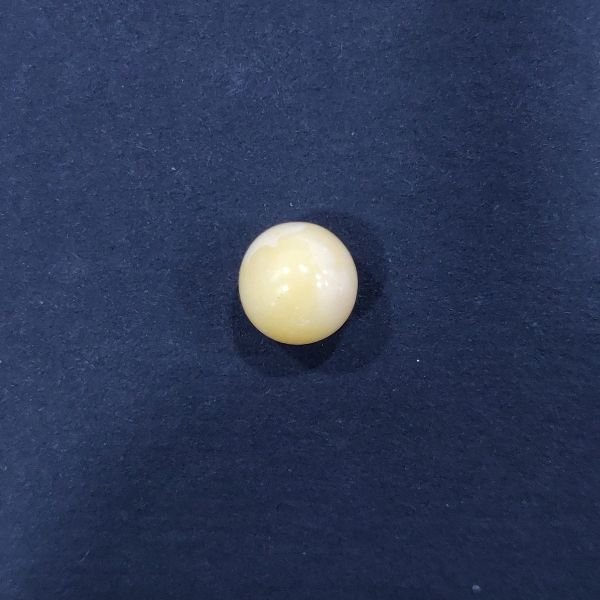 Natural Cassis Pearl 3.25 ct (3.54 ratti)