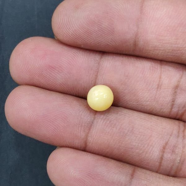 Natural Cassis Pearl 3.25 ct (3.54 ratti) - Image 2